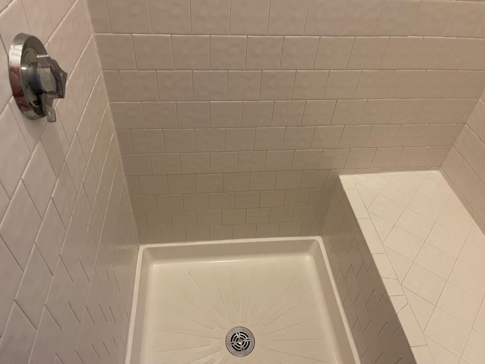 WhatsApp Image 2026-02-06 at 11.52.19