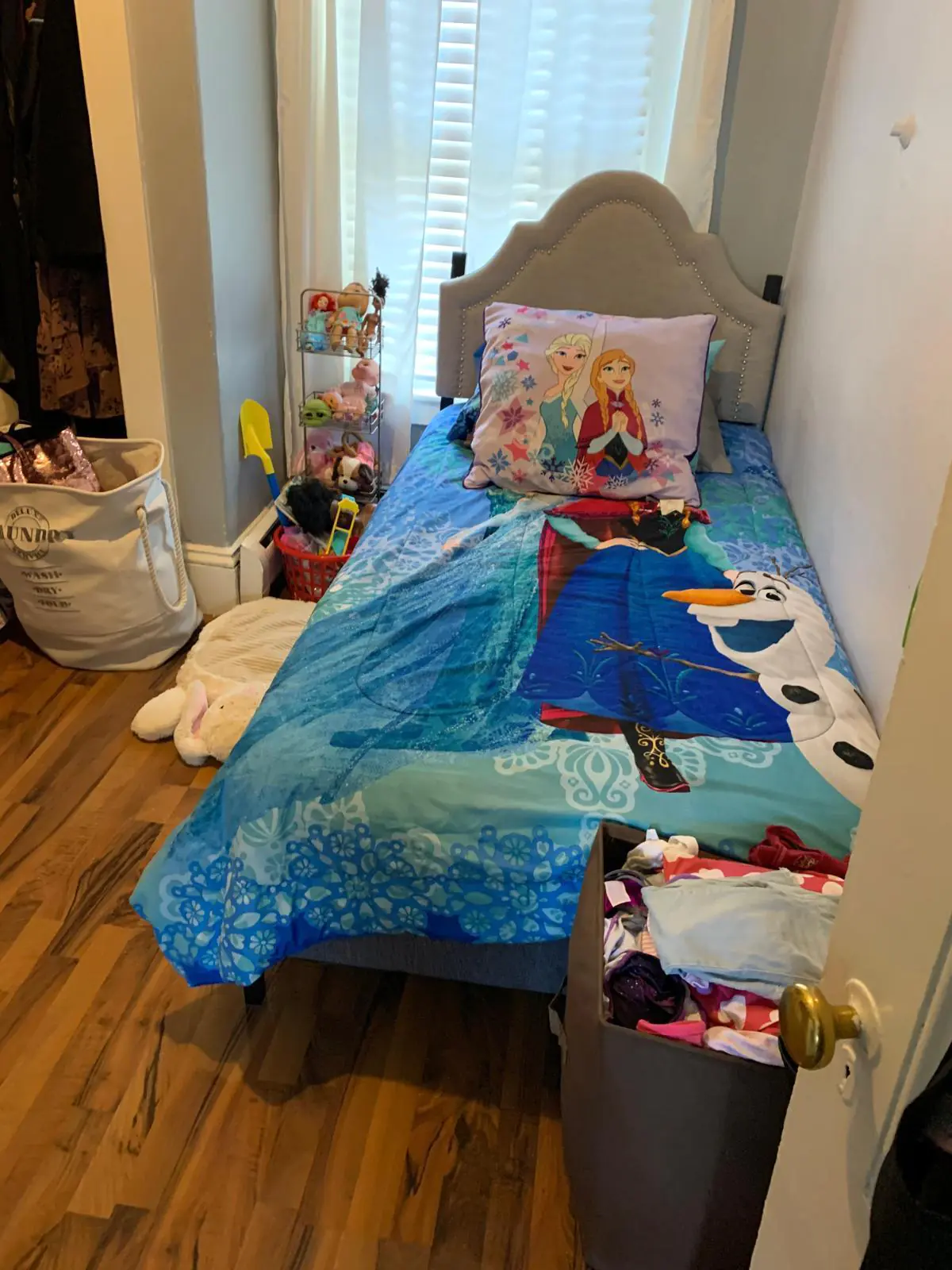 WhatsApp Image 2026-02-06 at 11.52.18 (1)