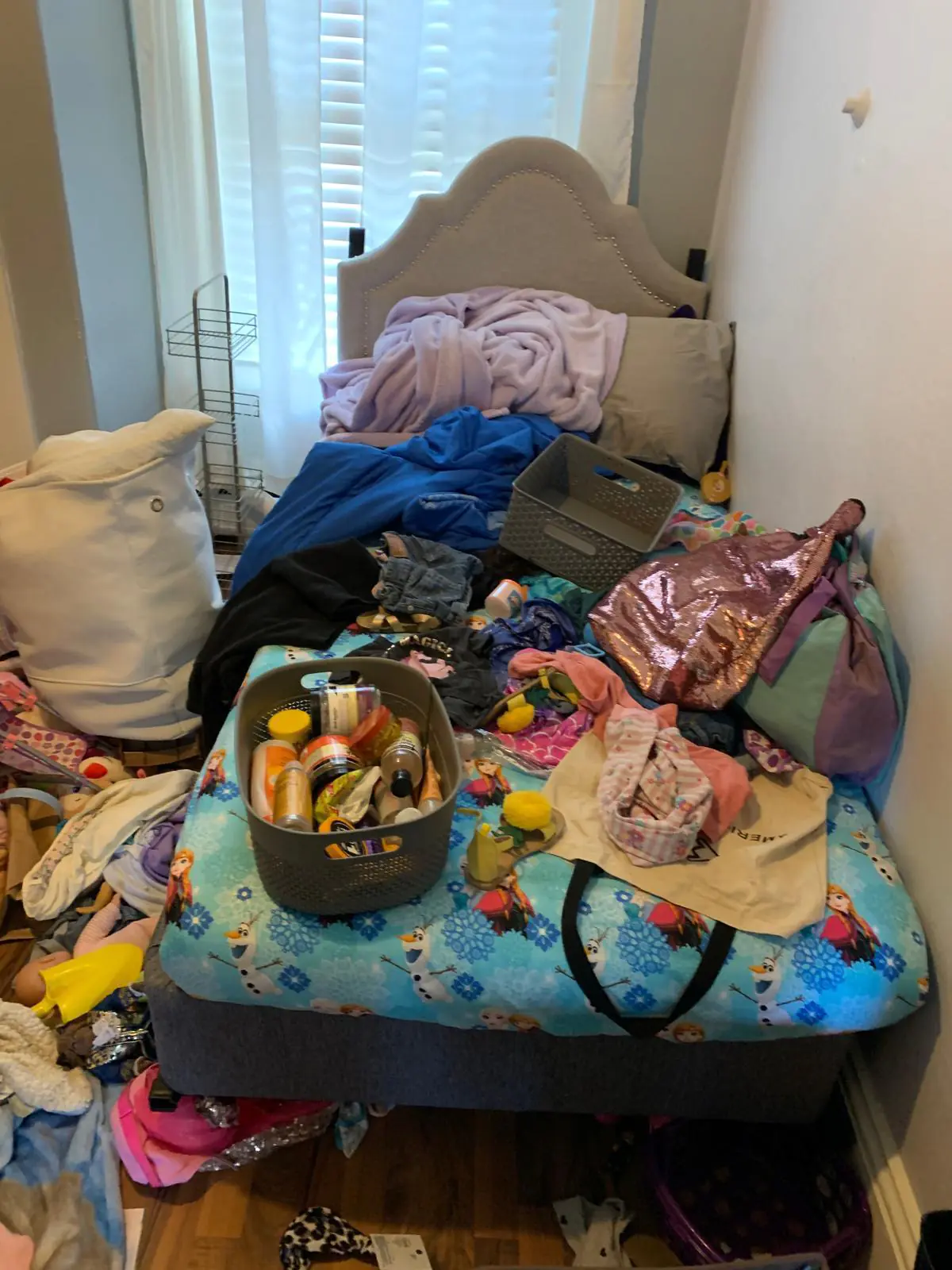 WhatsApp Image 2026-02-06 at 11.52.18