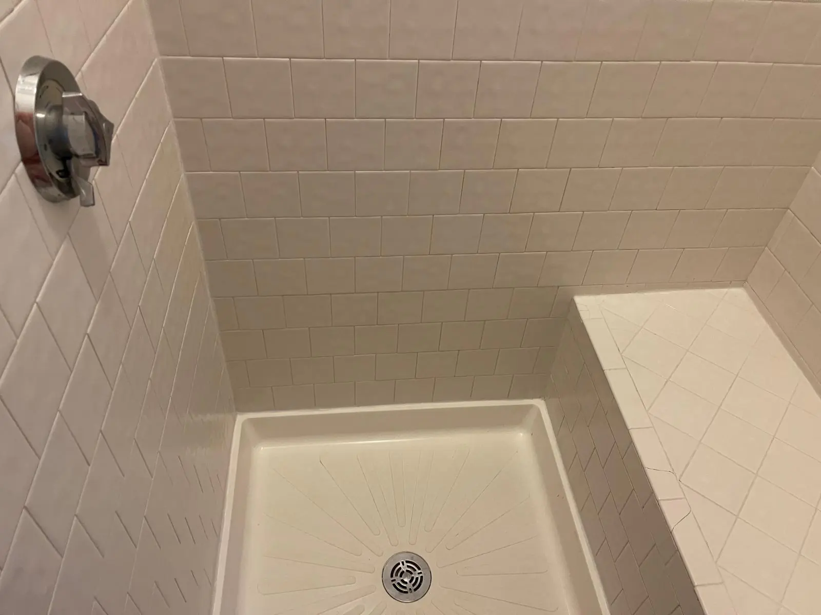 WhatsApp Image 2026-02-06 at 11.52.19